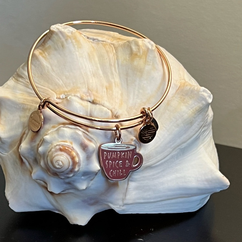 Lot of 4 Rose gold Alex and Ani charm bracelets.